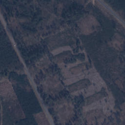 Satelita