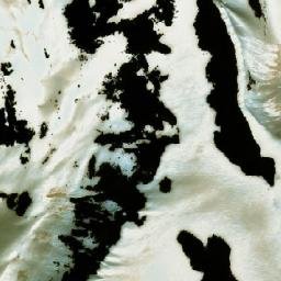 Satellite imagery of Esplanade Range, CA