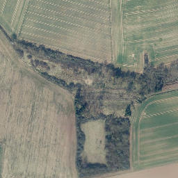 Satellite imagery of Mittelberg, DE
