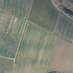 Satellite imagery of Bornberg, DE