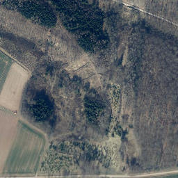 Satellite imagery of Bornberg, DE