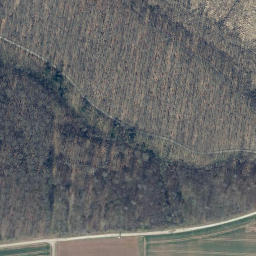 Satellite imagery of Bornberg, DE