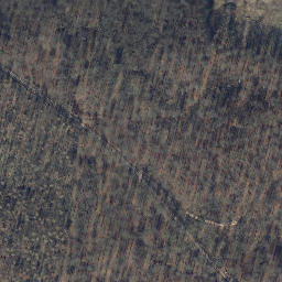 Satellite imagery of Petersberg, DE