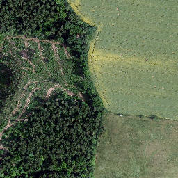 Satellite imagery of Großer Bornberg, DE