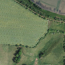 Satellite imagery of Großer Bornberg, DE