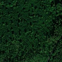 Satellite imagery of Deiselberg, DE
