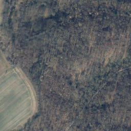 Satellite imagery of Pinnekenberg, DE