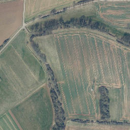 Satellite imagery of Bornberg, DE