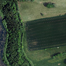 Satellite imagery of Großer Bornberg, DE