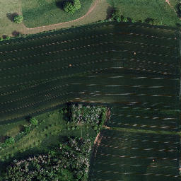 Satellite imagery of Großer Bornberg, DE