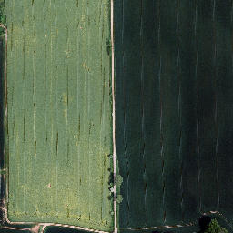 Satellite imagery of Großer Bornberg, DE