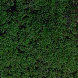 Satellite imagery of Leuftenberg, DE