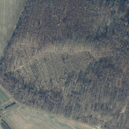 Satellite imagery of Mittelberg, DE
