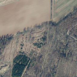 Satellite imagery of Mittelberg, DE