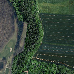 Satellite imagery of Großer Bornberg, DE