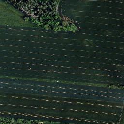 Satellite imagery of Großer Bornberg, DE