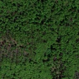 Satellite imagery of Leuftenberg, DE