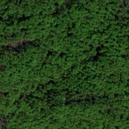 Satellite imagery of Leuftenberg, DE