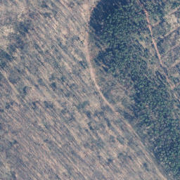 Satellite imagery of Taubenberg, DE