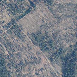 Satellite imagery of Taubenberg, DE