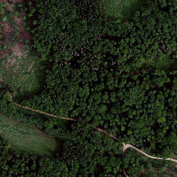 Satellite imagery of Kirchberg, DE