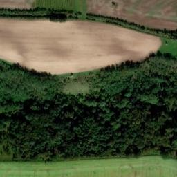 Satellite imagery of Spelzenberg, DE