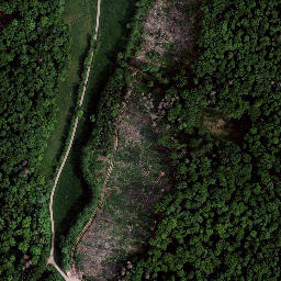 Satellite imagery of Kirchberg, DE