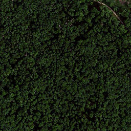 Satellite imagery of Kirchberg, DE