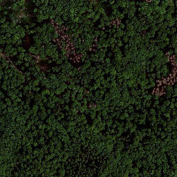Satellite imagery of Kirchberg, DE