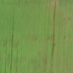 Satellite imagery of Spelzenberg, DE