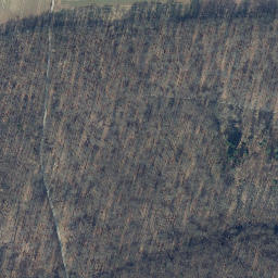 Satellite imagery of Kuhhirtsberg, DE