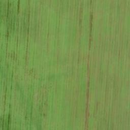 Satellite imagery of Spelzenberg, DE