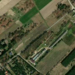 Satelita