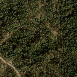 Satellite imagery of boundary_stone, NL