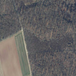 Satellite imagery of Kuhhirtsberg, DE