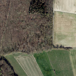 Satellite imagery of Engarberg, DE