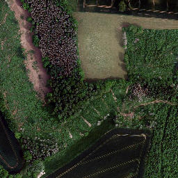 Satellite imagery of Brachsgrube, DE
