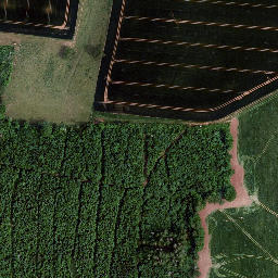 Satellite imagery of Brachsgrube, DE
