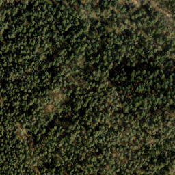 Satellite imagery of Wilbertsput paal, NL