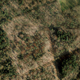 Satellite imagery of Wilbertsput paal, NL