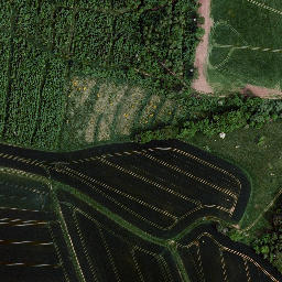Satellite imagery of Brachsgrube, DE