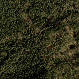 Satellite imagery of Wilbertsput paal, NL