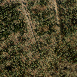 Satellite imagery of Wilbertsput paal, NL