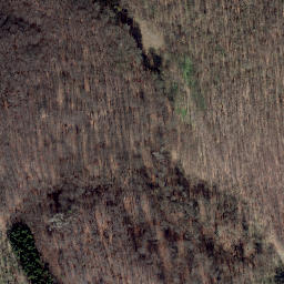 Satellite imagery of Hoppenberg, DE
