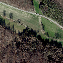 Satellite imagery of Engarberg, DE