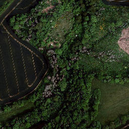 Satellite imagery of Brachsgrube, DE