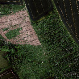 Satellite imagery of Brachsgrube, DE