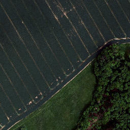 Satellite imagery of Tellenberg, DE