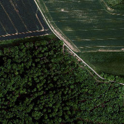 Satellite imagery of Tellenberg, DE