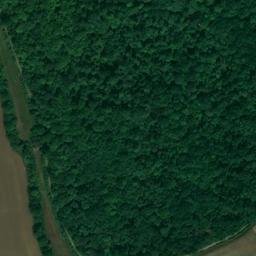 Satellite imagery of One Tree Hill, GB
